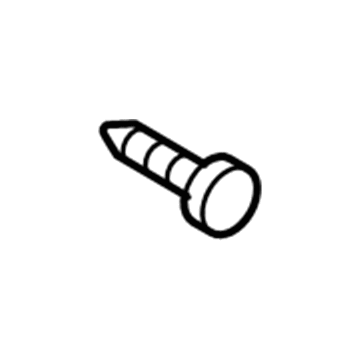 GM 94520329 Lower Quarter Trim Screw