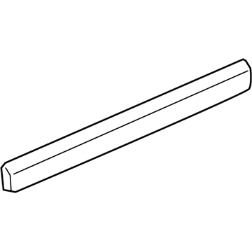 GM 15876405 Body Side Molding, Outer Driver Side