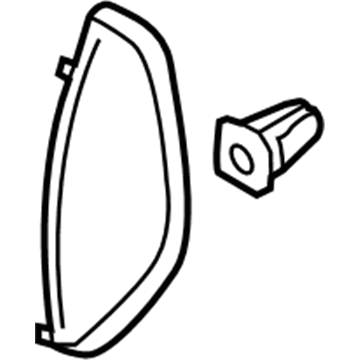 GM 25877919 Side Trim, Driver Side