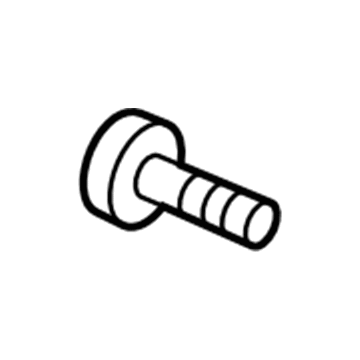 Cadillac 11611881 Belt Molding Screw