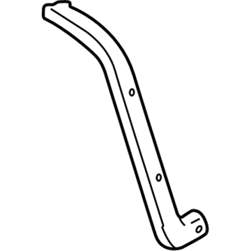 GM 30022339 Molding, Passenger Side