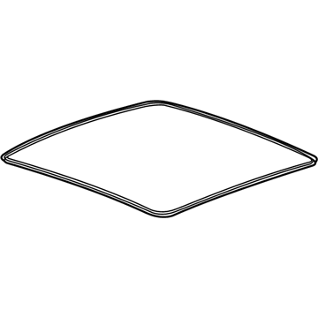 Chevy Impala Weather Strip - 25842116