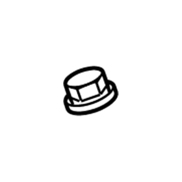 GM 92196414 Lower Weatherstrip Clip