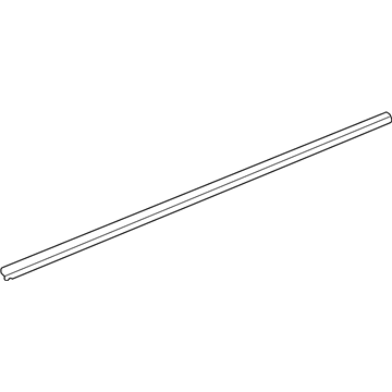 GM 30021356 Drip Molding, Passenger Side