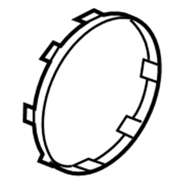 GM 95015813 Trim Ring, Silver