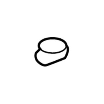 GM 19184405 Strut Mount Nut, Front