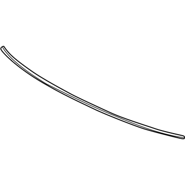 2002 Chevy Tracker Weather Strip - 30022757