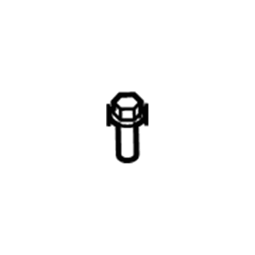Saturn 11519976 Radiator Bolt