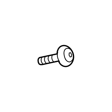 Buick 11611883 Applique Bolt