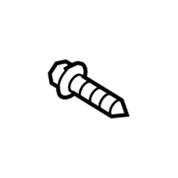 GM 94520507 Belt Weatherstrip Screw