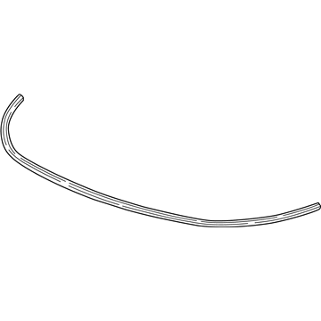 Buick Weather Strip - 26233816