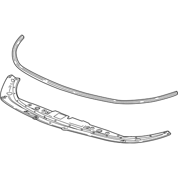 GM 26228608 Sight Shield, Front