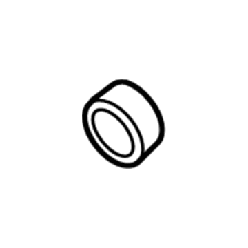 GM 10128316 Oil Seal, Front