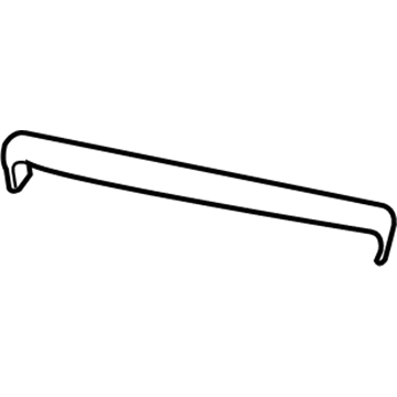 GM 96852700 Front Molding