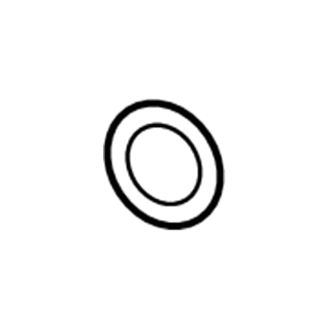 Buick 12494847 Level Sensor Seal