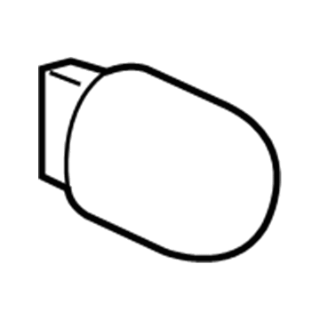 GM 13596816 Tail Lamp Bulb