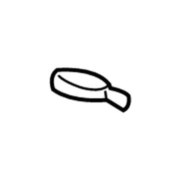 GM 88898269 Pull Strap, Rear