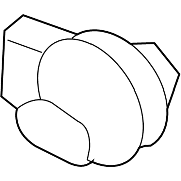 GM 19352813 Socket & Wire