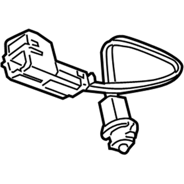 Cadillac 25821823 Courtesy Lamp