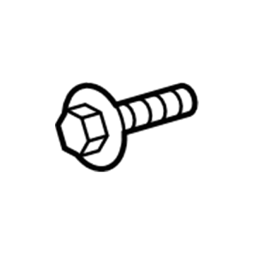 Chevy 11561763 Lower Hinge Bolt