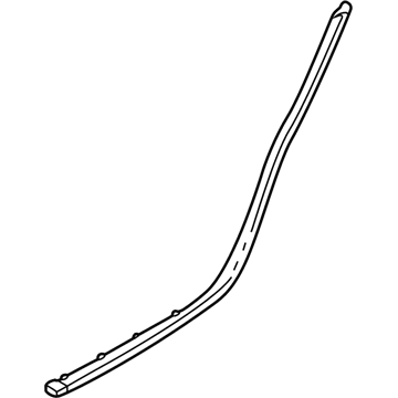 2007 Cadillac CTS Door Seal - 25762382