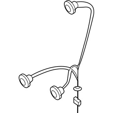 GM 96650808 Socket & Wire