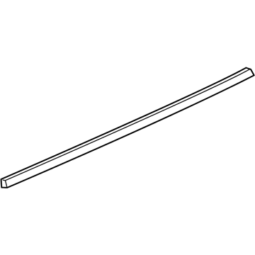 GM 84239723 Belt Weatherstrip, Rear Driver Side
