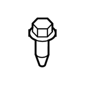 Chevy 11609489 Under Cover Screw