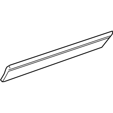 2005 Chevy Equinox Door Moldings - 19179464