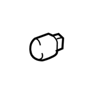 GM 13503354 Tail Lamp Bulb