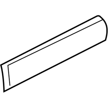 2000 Chevy Express 1500 Door Moldings - 15960364