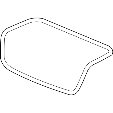 Chevy Impala Weather Strip - 89025247