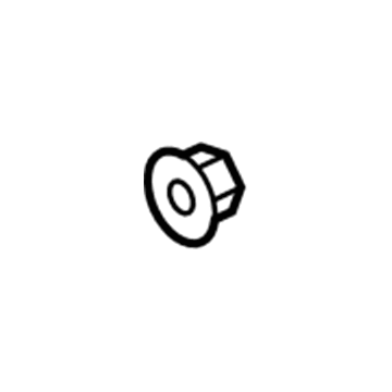 GM 11609738 Fender Nut