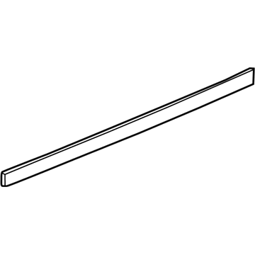 GM 10347955 Body Side Molding, Front Passenger Side