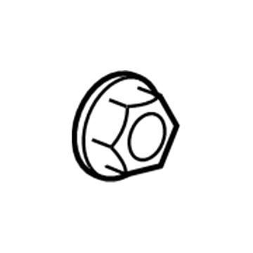 GM 19184277 Axle Nut, Front