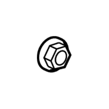 GM 10257766 Axle Nut, Front