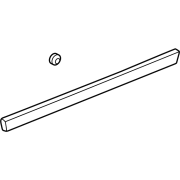 GM 84861621 Lower Molding, Driver Side, Carbon