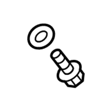 GM 55577568 Drain Plug