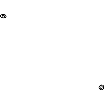 GM 13418807 Hose & Tube Assembly Seal
