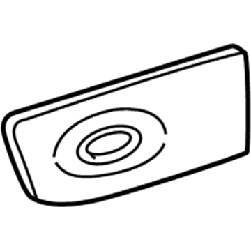 GM 10293636 Applique, Blue, Rear Passenger Side