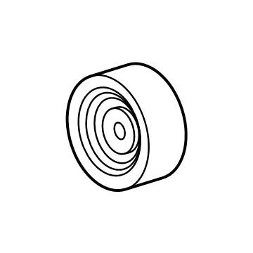 GM 12695659 Idler Pulley, Passenger Side