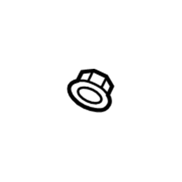 GM 11610157 Flare Nut, Front Rear