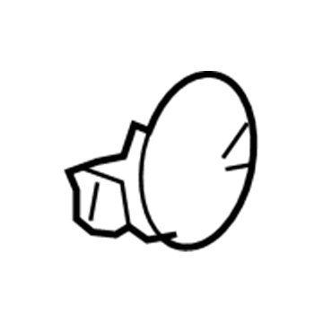 GM 15776460 Fuel Door
