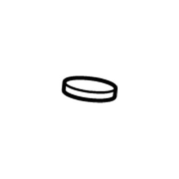 GM 19204207 Reservoir Assembly Grommet
