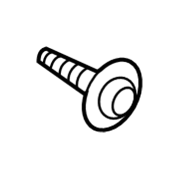 GM 11096503 Door Trim Panel Screw, Front