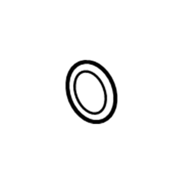 GM 55592613 Water Inlet Seal