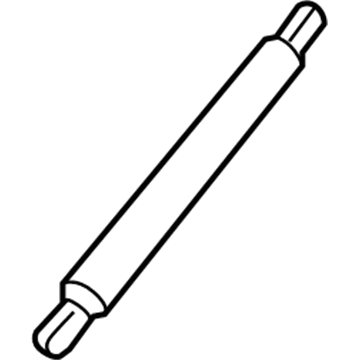 GM 15861154 Lift Cylinder, Rear