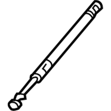 GM 15093450 Lift Cylinder, Passenger Side