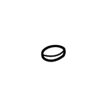 GM 25731418 Reservoir Cap