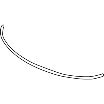 Chevy Camaro Weather Strip - 10132029